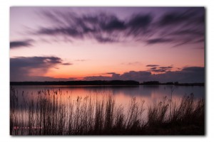 natuurgebied Het Twiske in Oostzaan