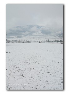 Sneeuwval in de ochtend