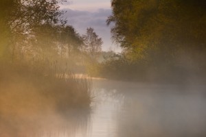 Mist boven de sloot