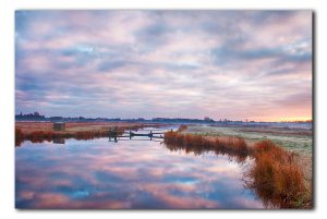 Ochtendlicht met rijp op het land