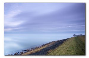 Langs de dijk van het Markermeer