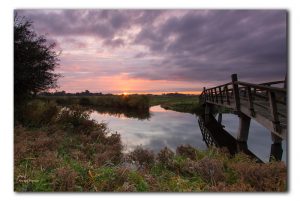 Kleurrijke zonsopkomst in Het Twiske