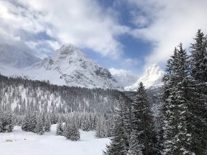 Alpentoppen met sneeuw