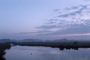 Zonsopkomst in Het Twiske