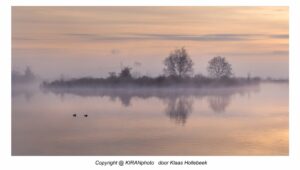 het gouden licht in Het Twiske