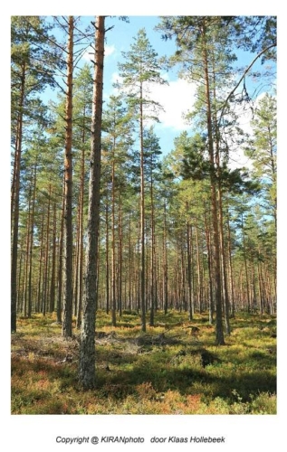 Norway - Noorwegen