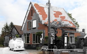 Oostzaan Haal 26 IMG 1657