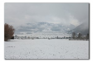 web IMG 3834  