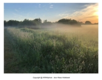 Het Twiske