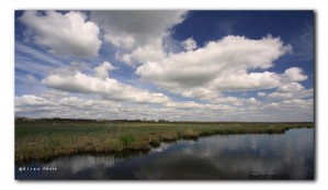 Zaanstreek Oostzanerveld IMG 5195v4