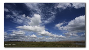 Zaanstreek Oostzanerveld IMG 5203v2