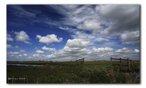 Zaanstreek Oostzanerveld IMG 5206v3