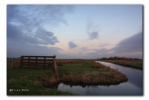 Zaanstreek Polder IMG 4601v2