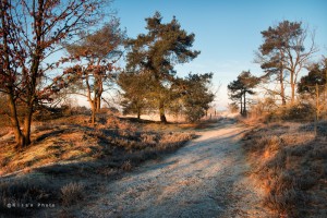 TKlamthoutse Heide0003