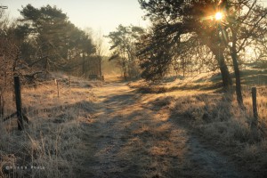 TKlamthoutse Heide0004