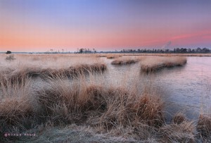 TKlamthoutse Heide0020