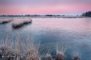 TKlamthoutse Heide0022