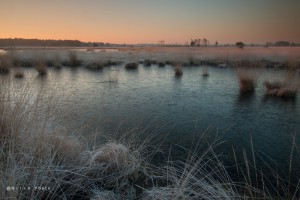 TKlamthoutse Heide0024