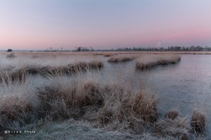 TKlamthoutse Heide0026