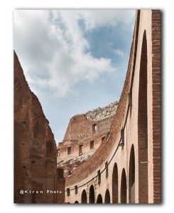 web in Colosseum IMG 0752