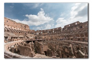 web in Colosseum IMG 0775