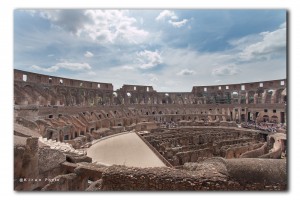 web in Colosseum IMG 0787