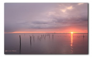 IJmeer en Zuidpier rode zonsopkomst IMG 3363 IJmeer